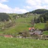 Jaro (13)